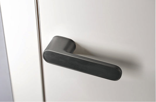 Metal door handle on a white door